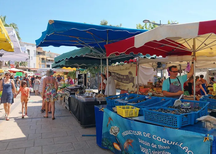 La Palme D'or-20 By Interhome Apartament Agde