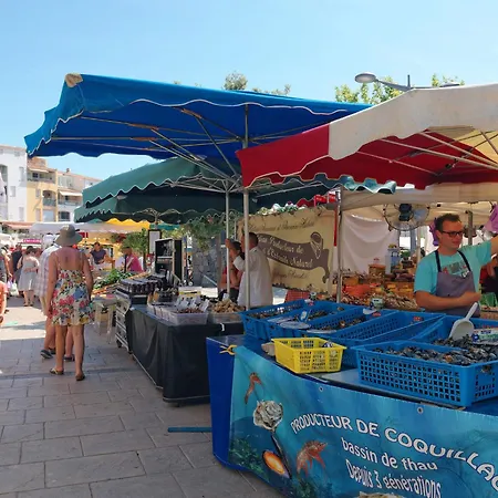 La Palme D'or-20 By Interhome Apartment Agde